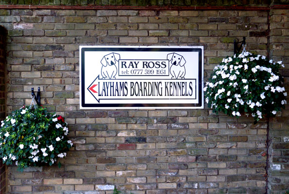 Professional and Friendly Dog Boarding Kennel in South East, Kent, Greater London