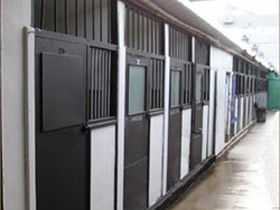 secure, clean and aired dog paddocks