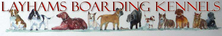Layhams Dog Boarding Kennels, South East London
